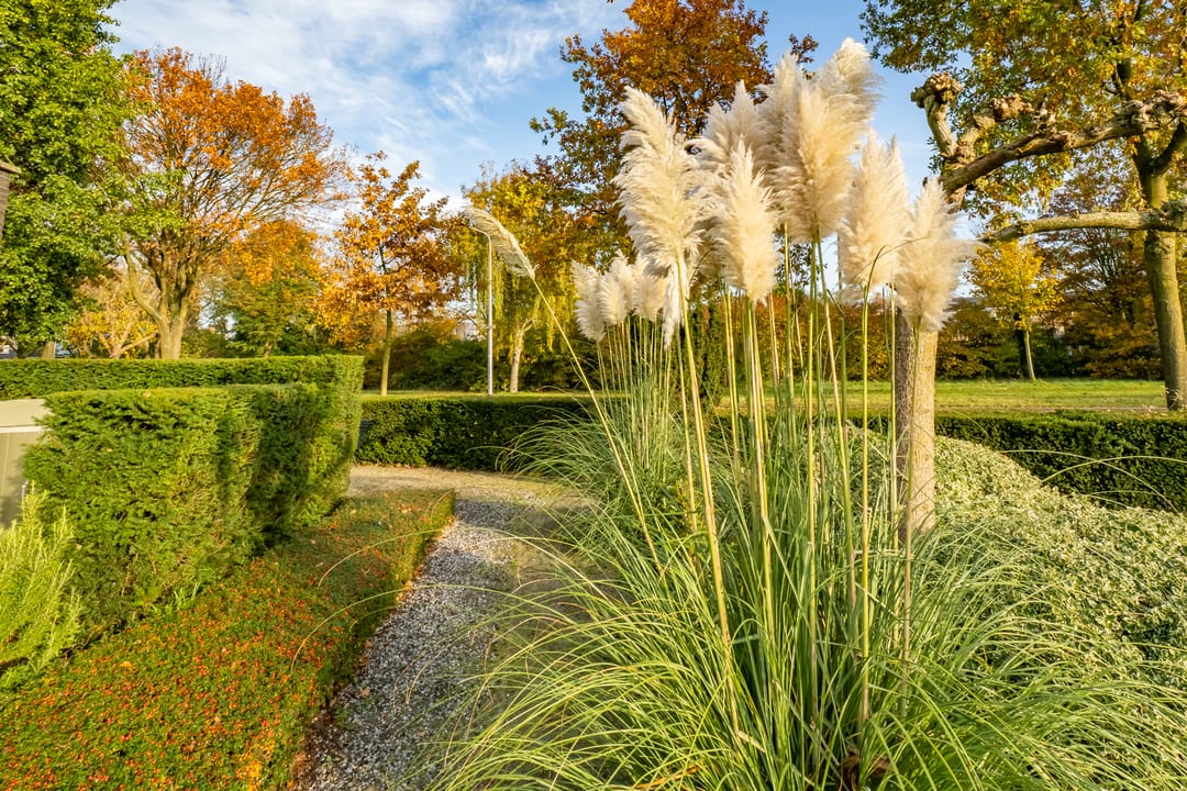 Foto 37 van Noordweg 28