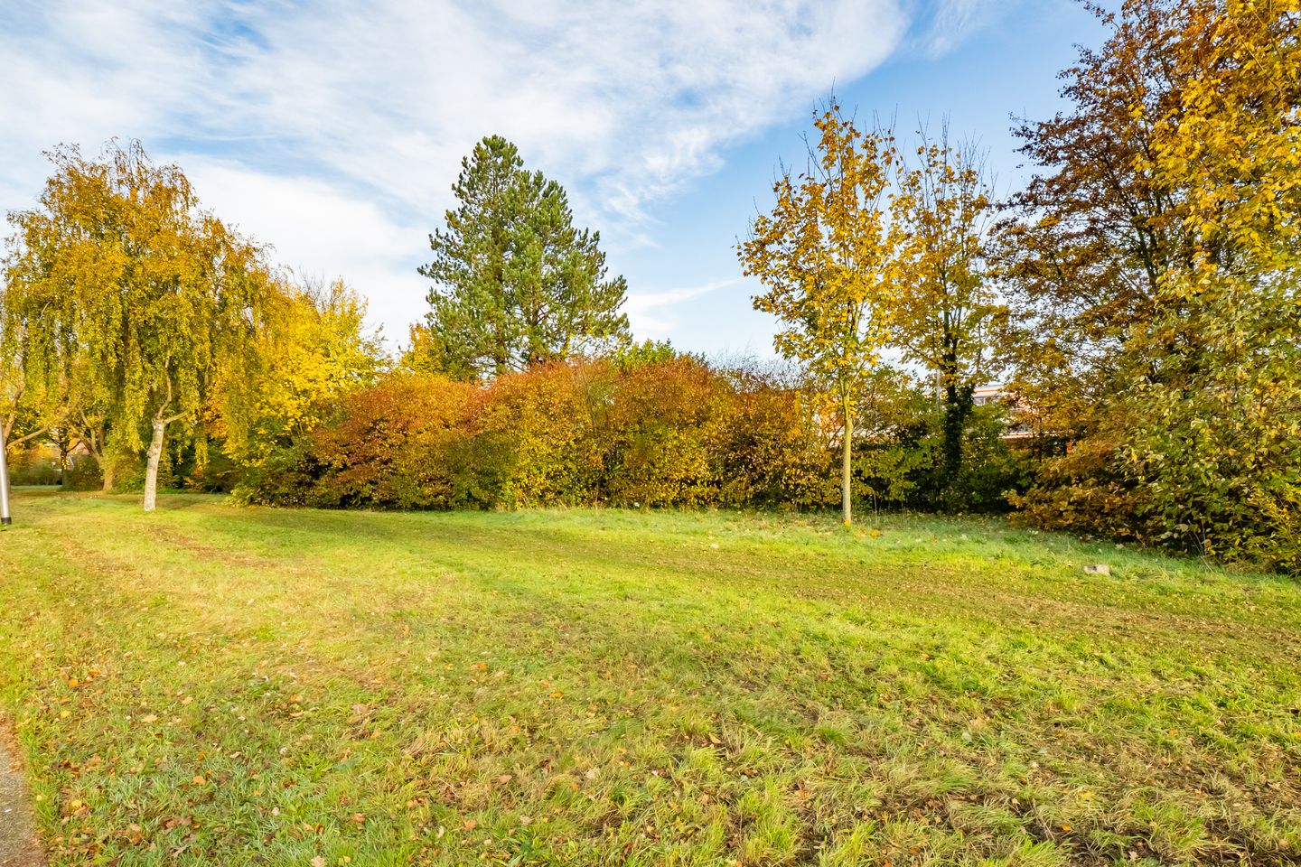 Foto 44 van Noordweg 28