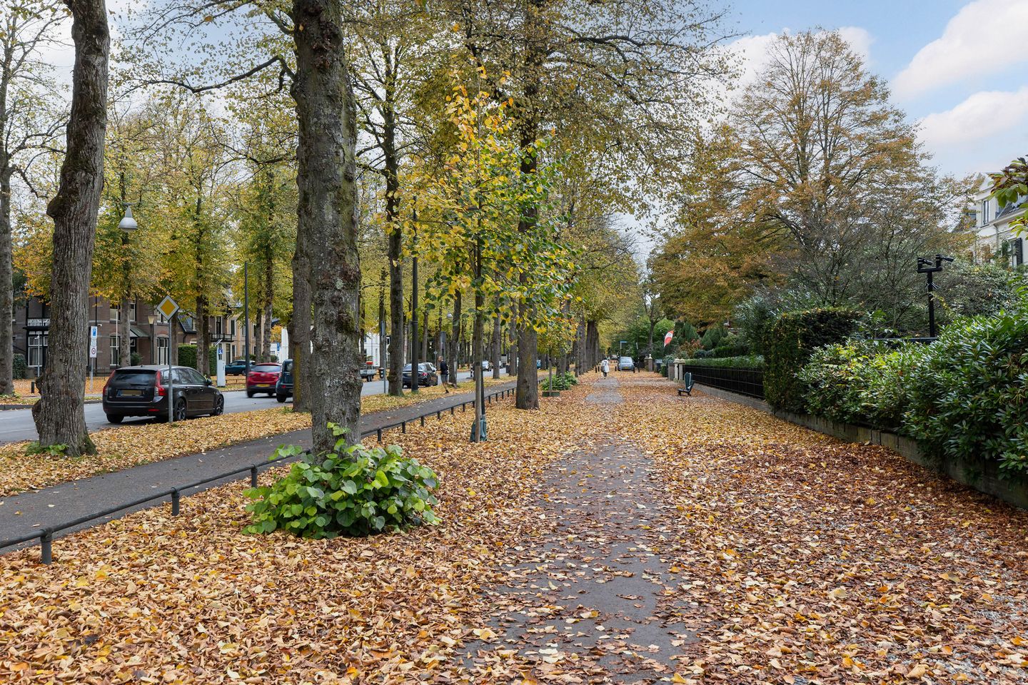 Foto 29 van Loolaan 27-105