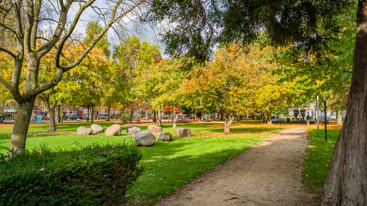 Photo 55 of Deken van Oppensingel 81