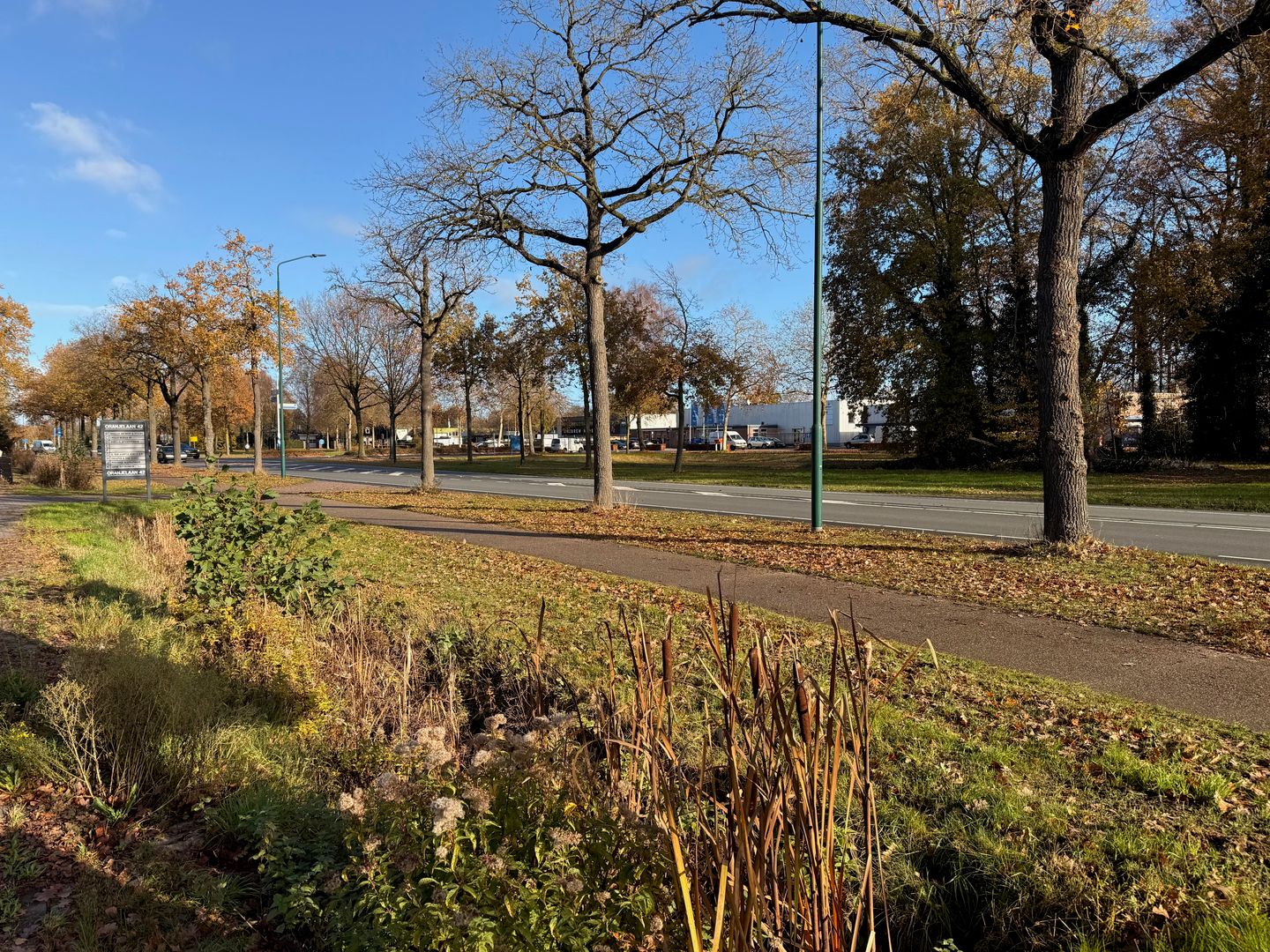 Bekijk foto 3 van Oranjelaan 42-d