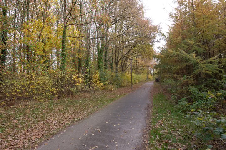 Photo 78 of Brinklaan 6