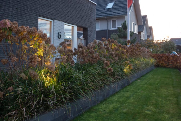 Photo 81 of Brinklaan 6