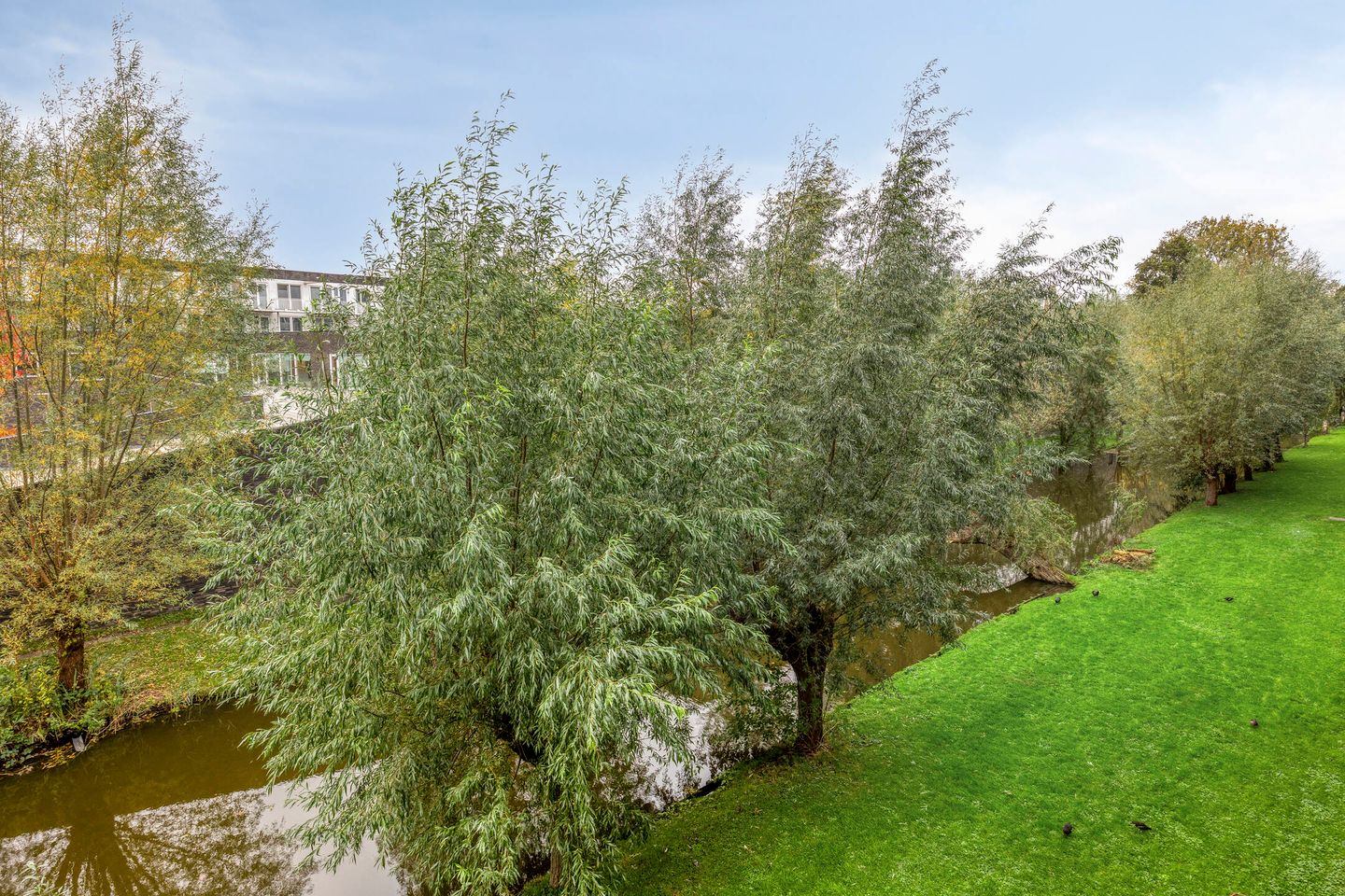 Foto 34 van Johannes Poststraat 100