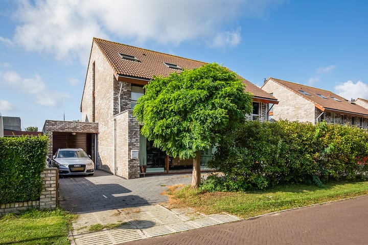 Brandaris 60 main image