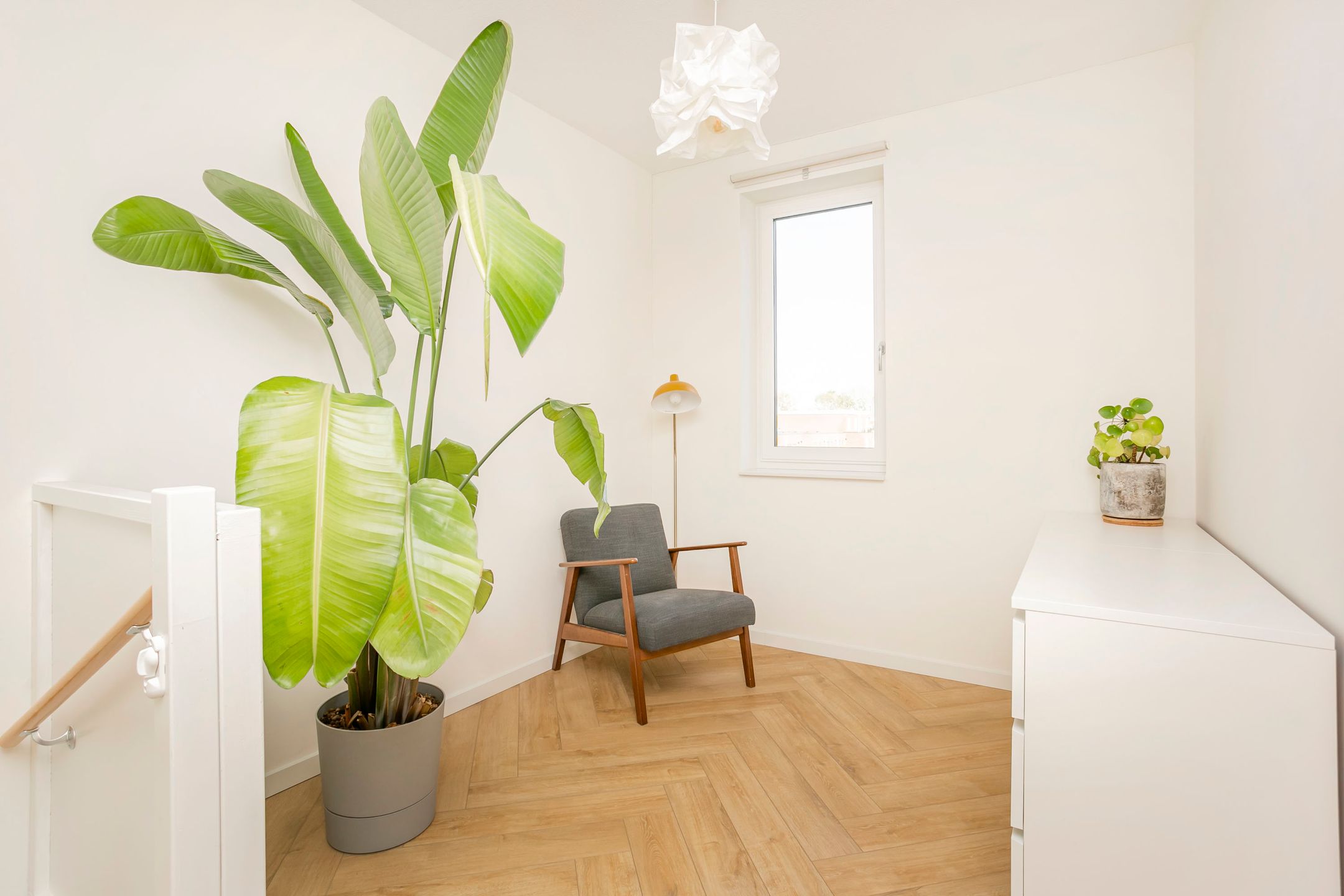 Foto 30 van Tweede Muntmeesterslaan 65