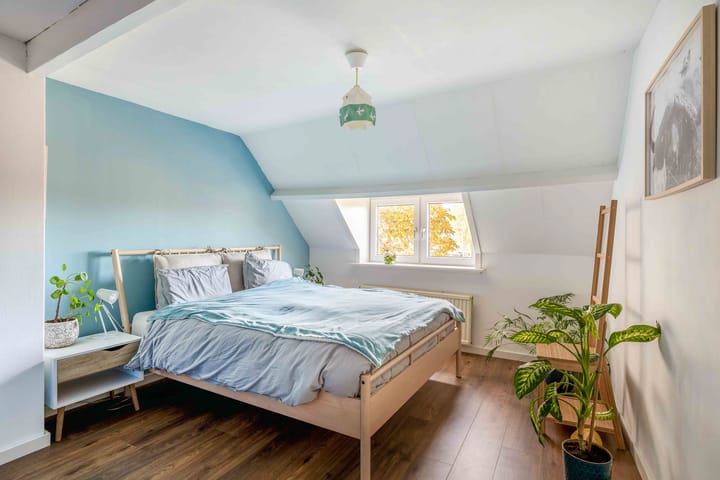 Photo 19 of Zuiddijk 9