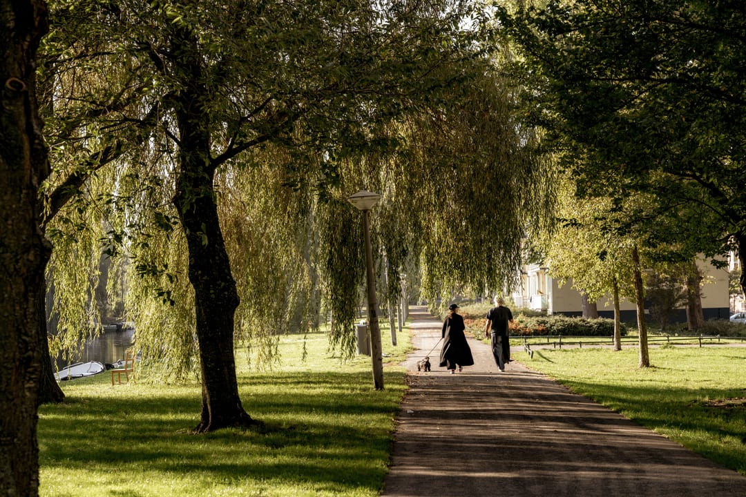 Foto 38 van Westlandgracht 229-H