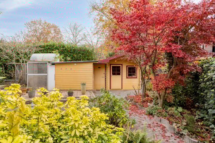 Photo 55 of De Koningshof 14