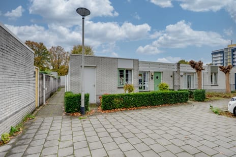 undefined main image