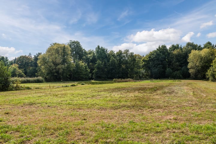 Photo 47 of Alkstraat 18