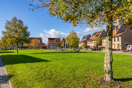 De Landerijen 62 tertiary image