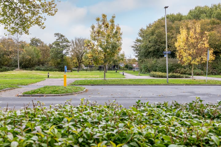 Photo 43 of Achelpad 34