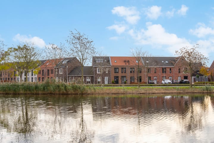 Waagmeester 50 main image