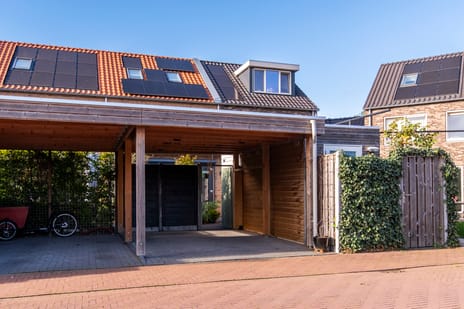 Waagmeester 50 tertiary image