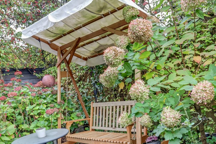 Foto 49 van Bolero 69