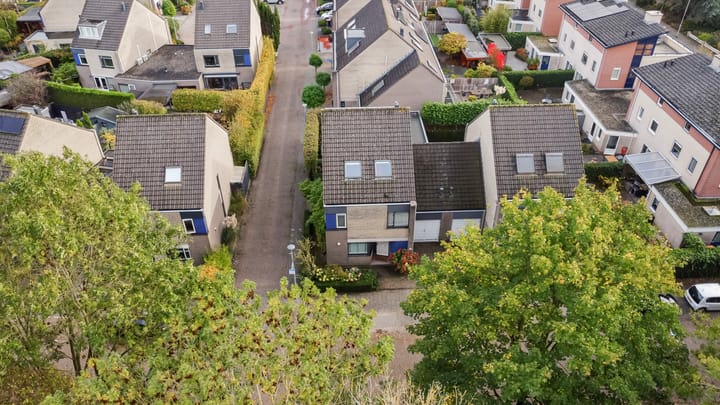 Foto 59 van Bolero 69