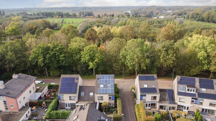 Foto 61 van Bolero 69