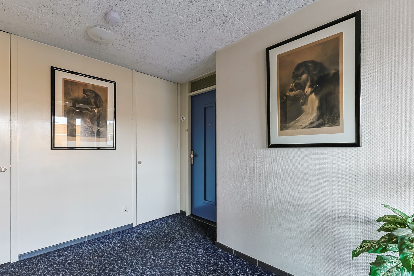 Photo 34 of Brugwacht 30