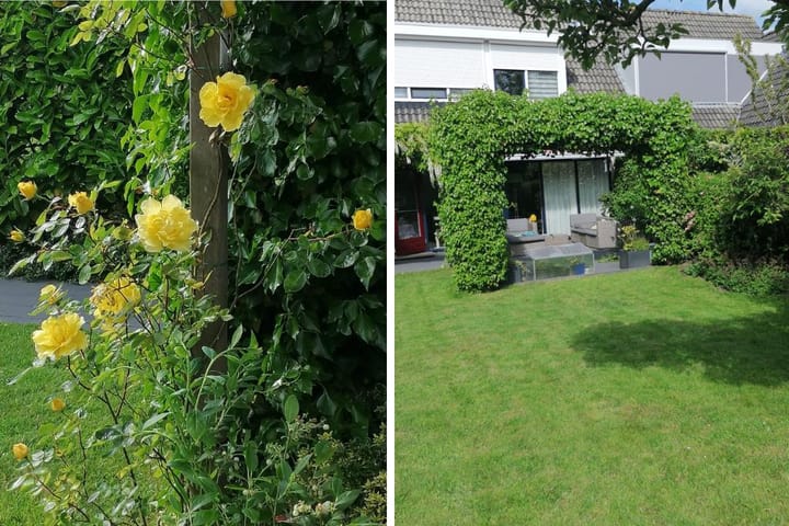 Photo 35 of De Mar 10