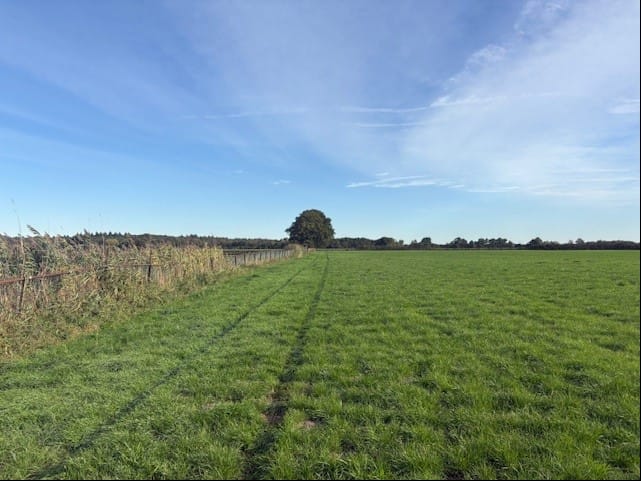 Bekijk foto 1 van Heerlesebaan