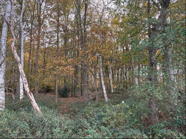 Bekijk foto 5 van Heerlesebaan