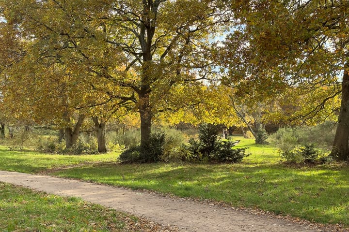 Photo 24 of Admiraal de Ruyterlaan 27