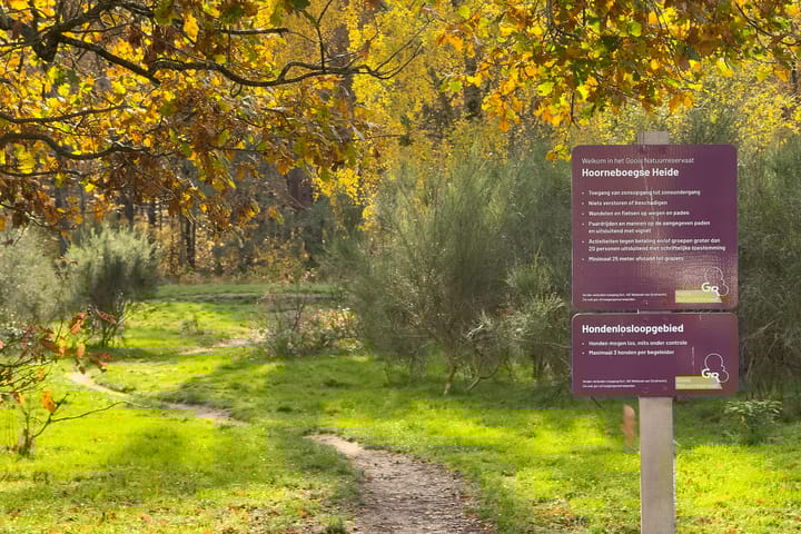 Photo 25 of Admiraal de Ruyterlaan 27