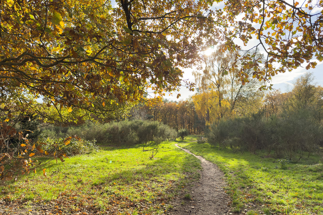 Foto 26 van Admiraal de Ruyterlaan 27
