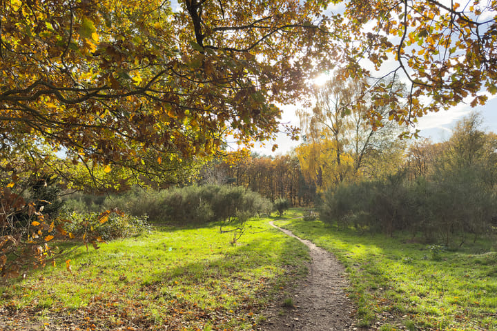 Photo 26 of Admiraal de Ruyterlaan 27