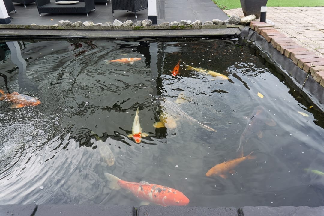 Foto 38 van Rembrandtstraat 9