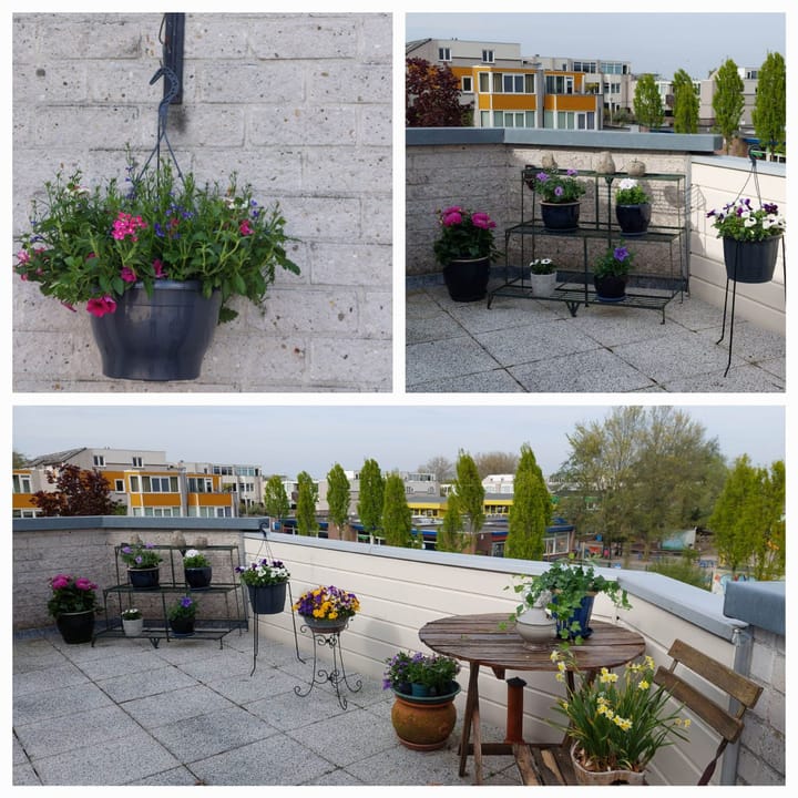 Photo 15 of Stoelendans 92