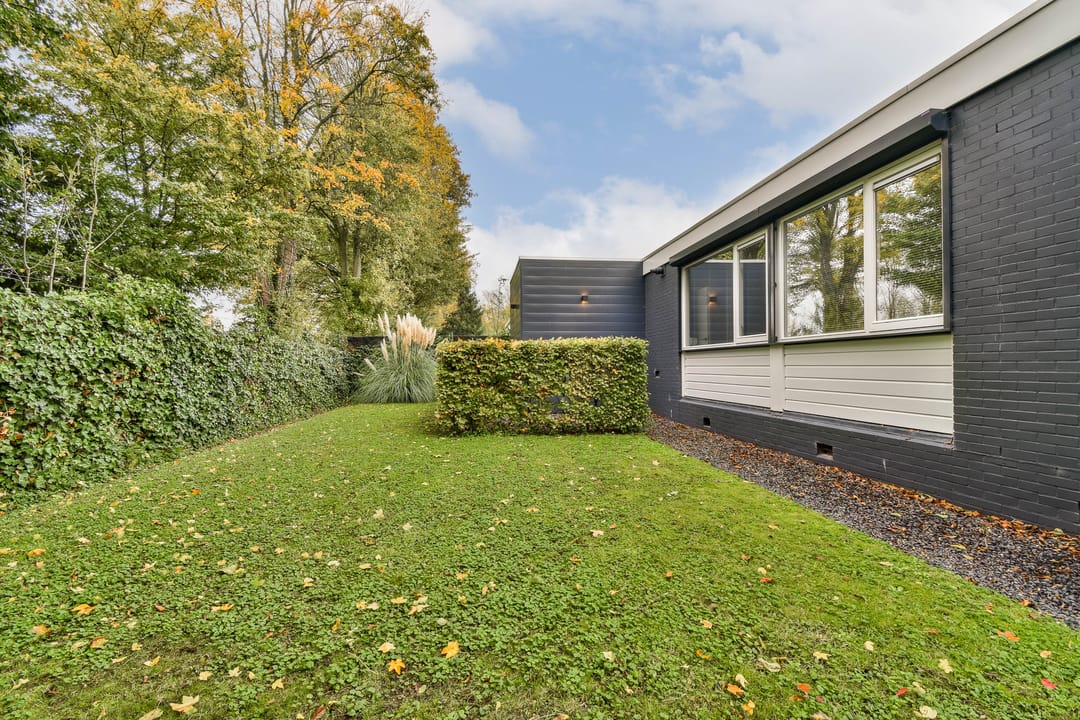 Foto 28 van Salvia 19