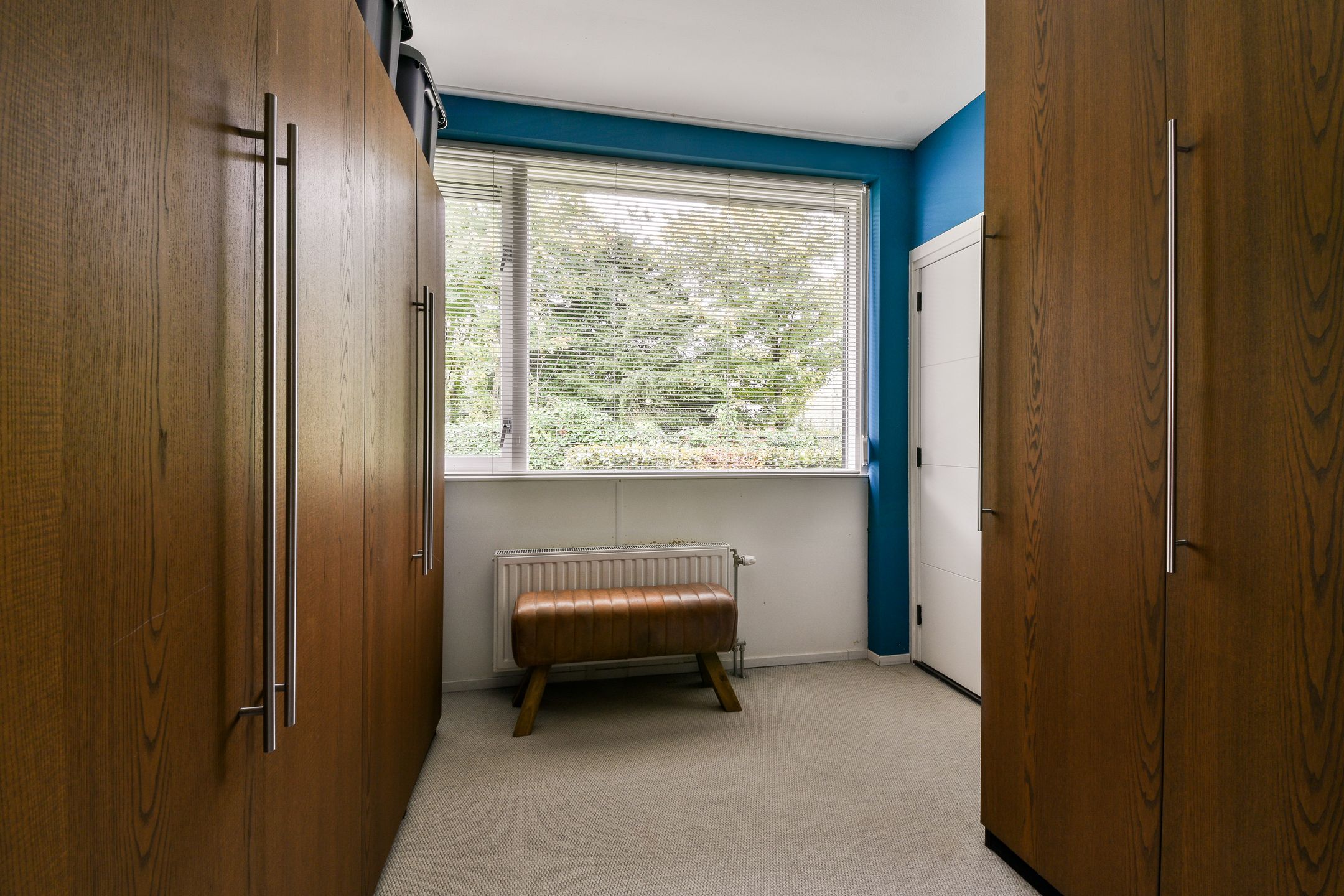 Foto 21 van Salvia 19