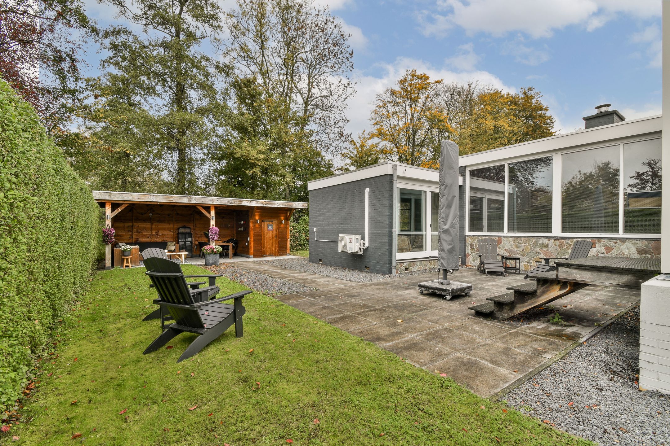 Foto 24 van Salvia 19