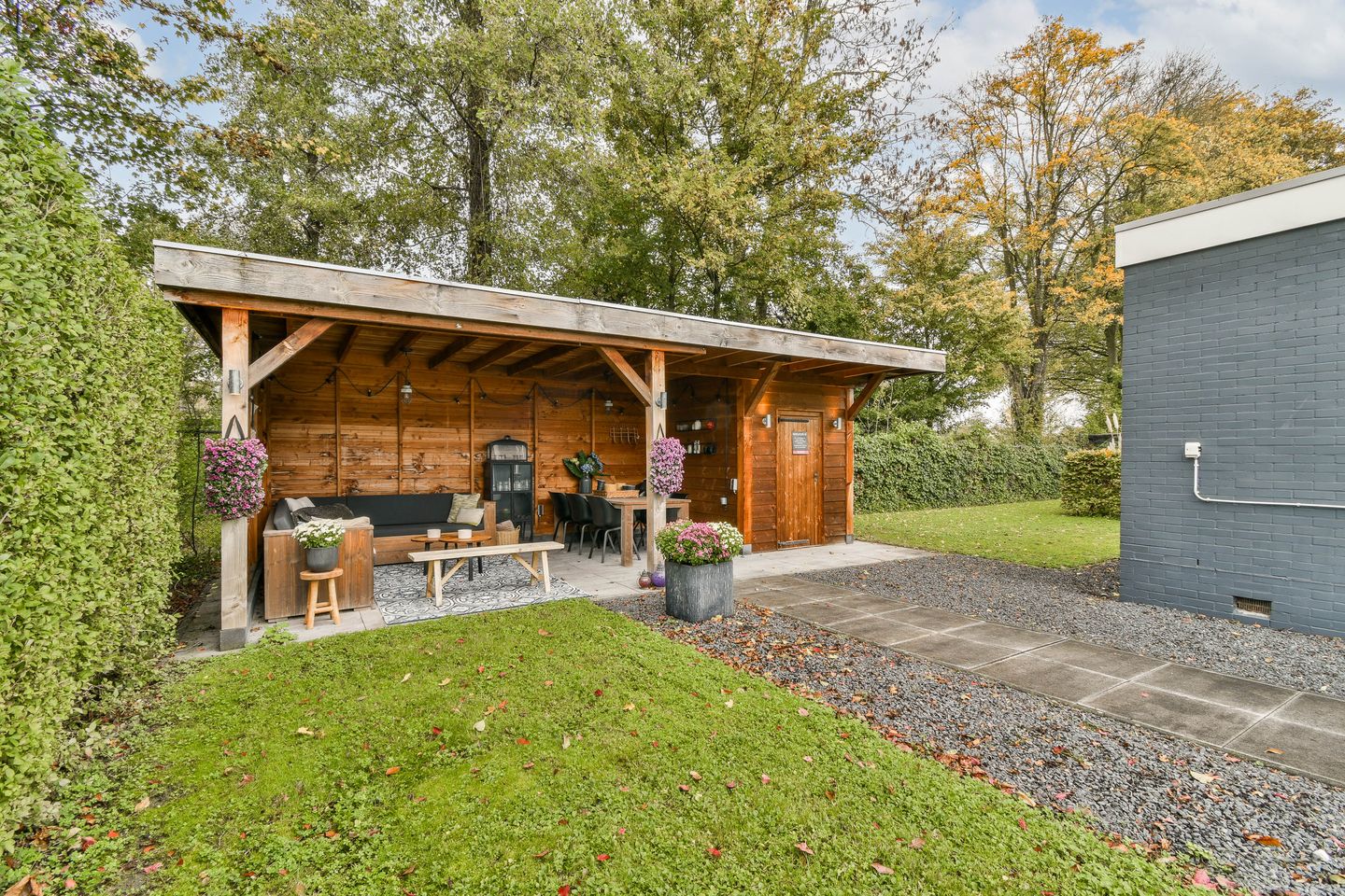 Foto 25 van Salvia 19