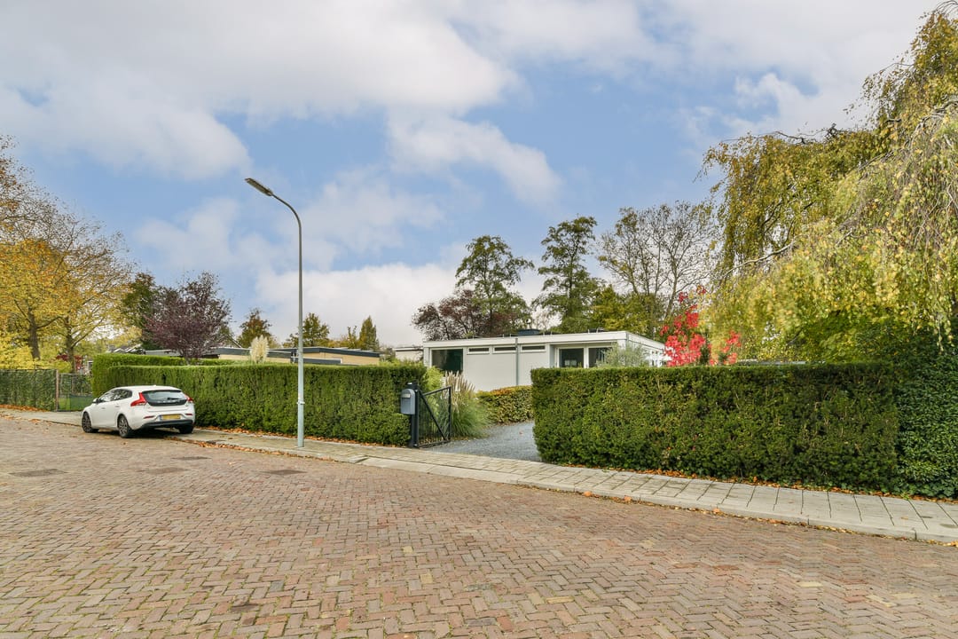 Foto 32 van Salvia 19