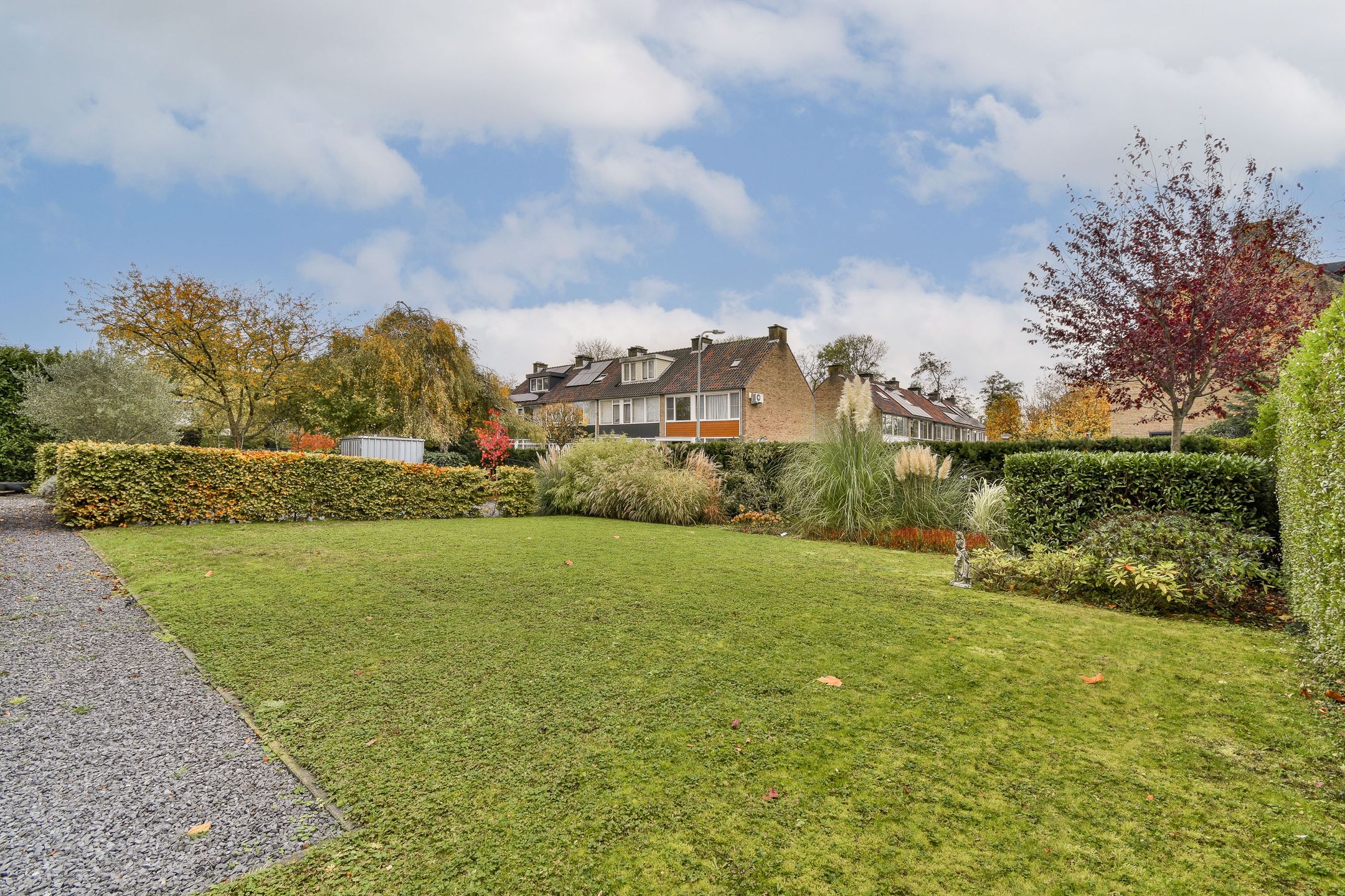 Foto 30 van Salvia 19