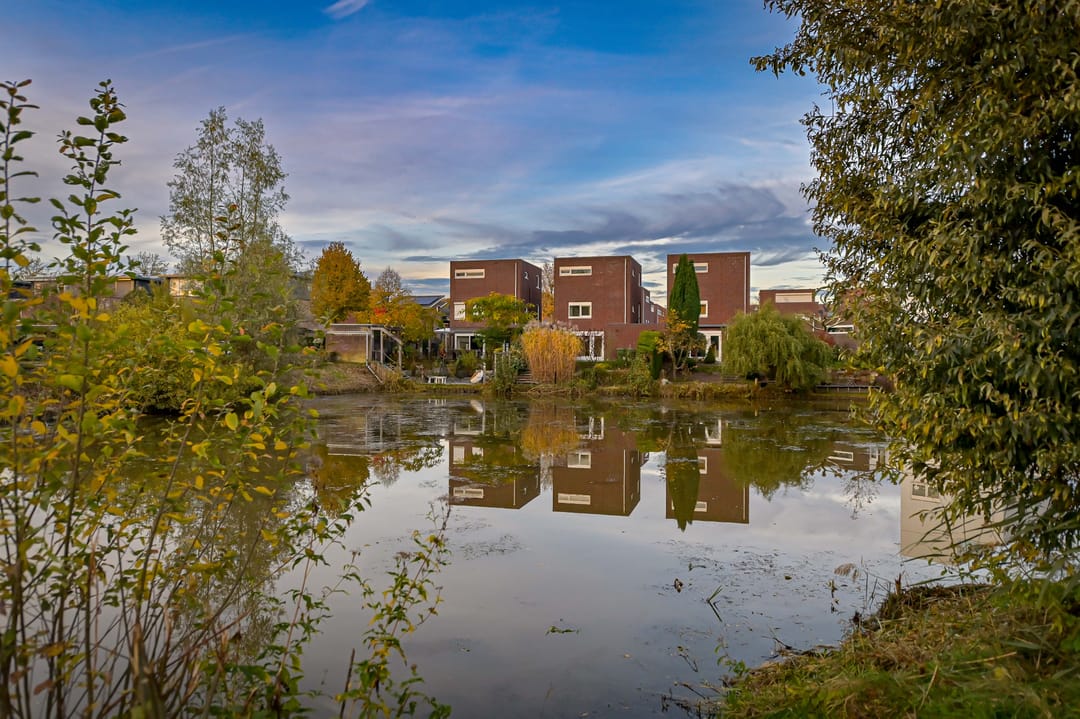 Foto 13 van Amber 24