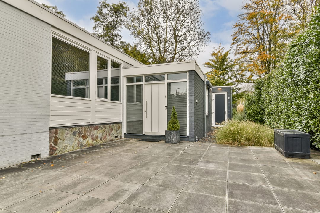 Foto 31 van Salvia 19