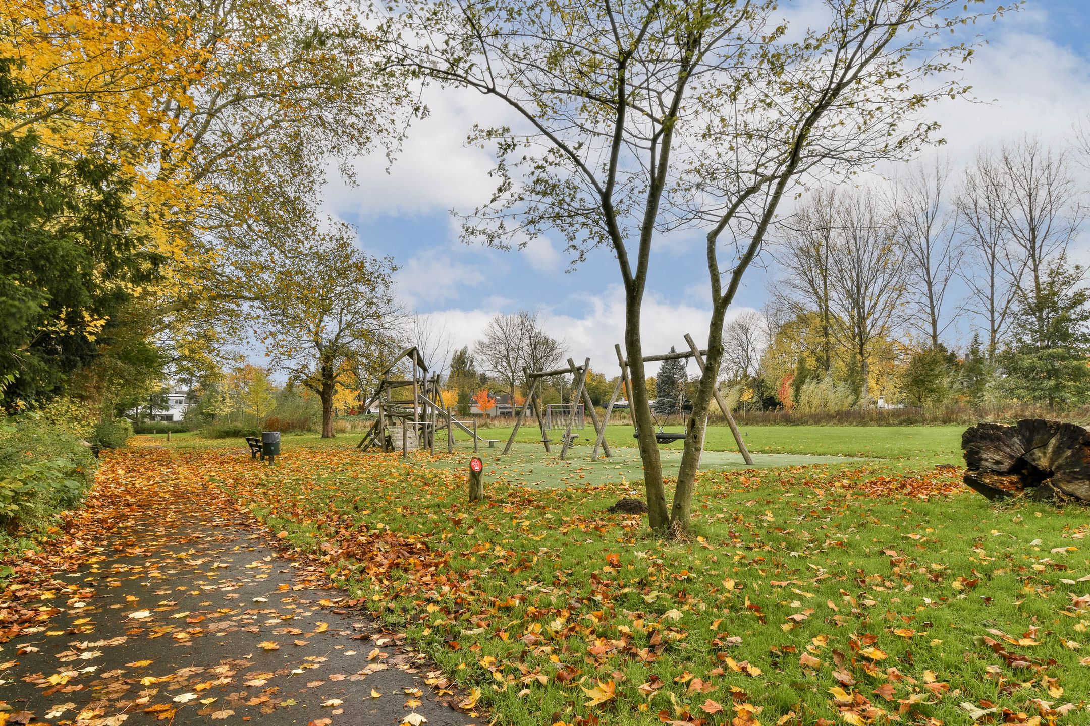 Foto 33 van Salvia 19