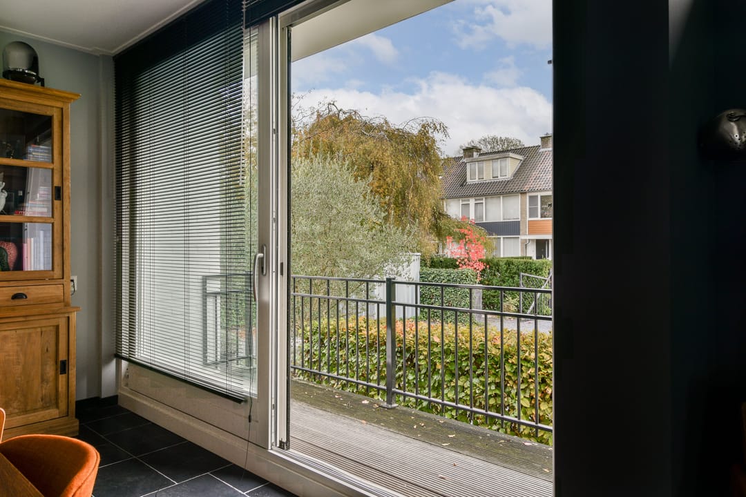 Foto 7 van Salvia 19