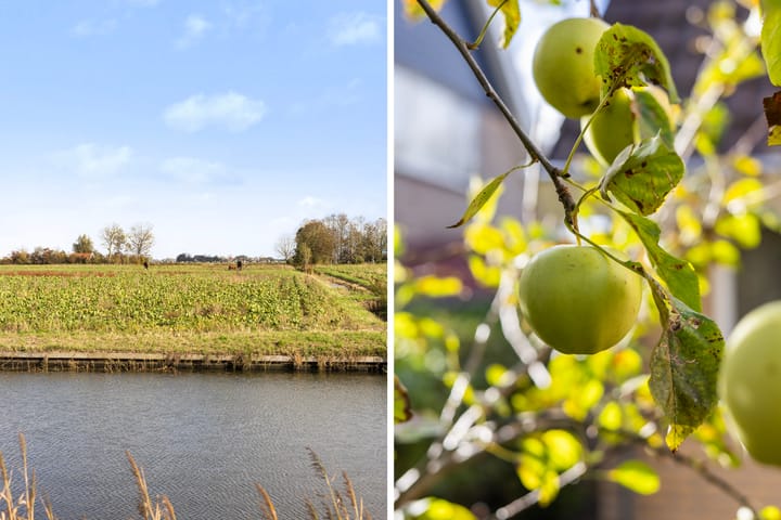 Foto 33 van Griene Leane 34