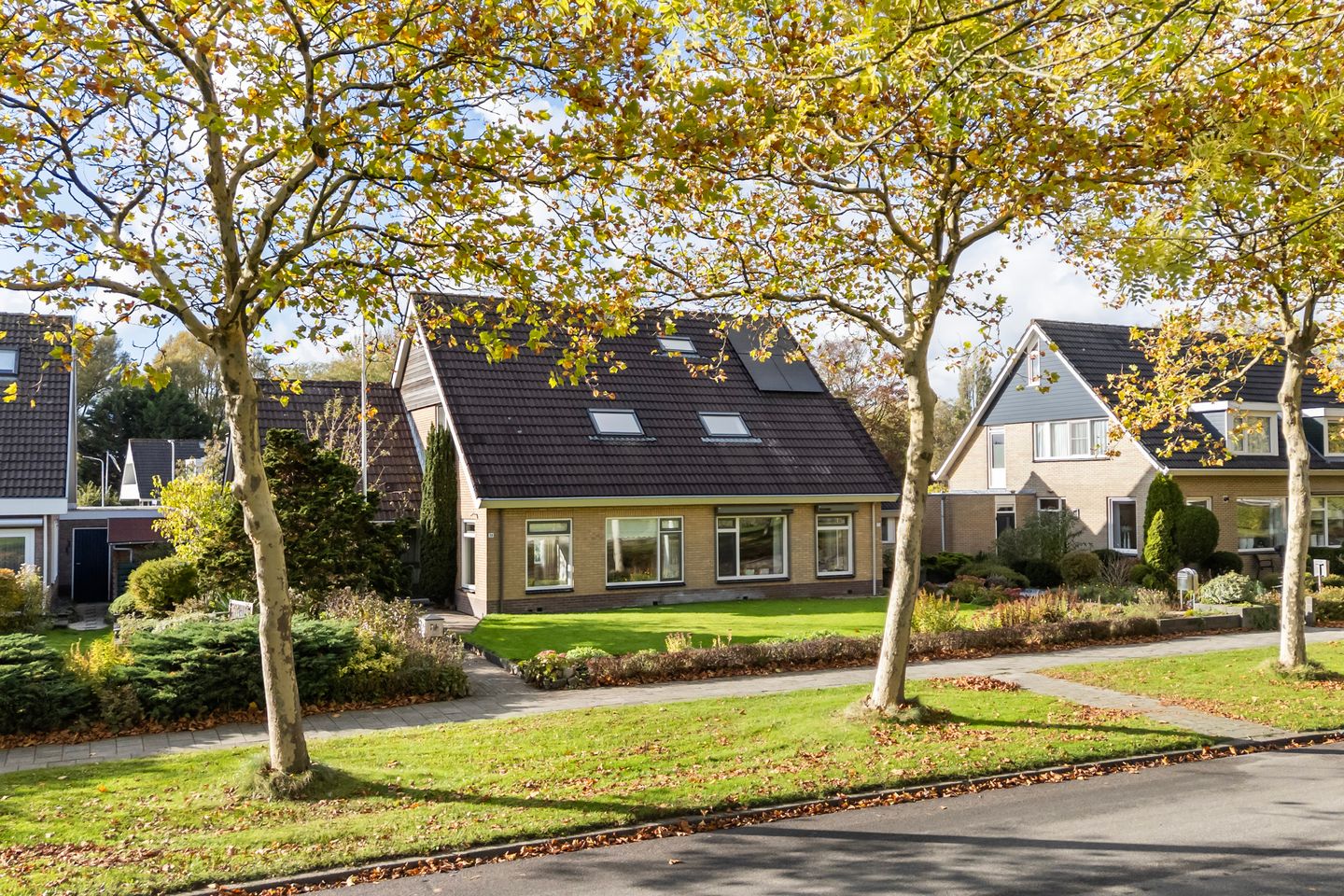 Photo 40 of Griene Leane 34