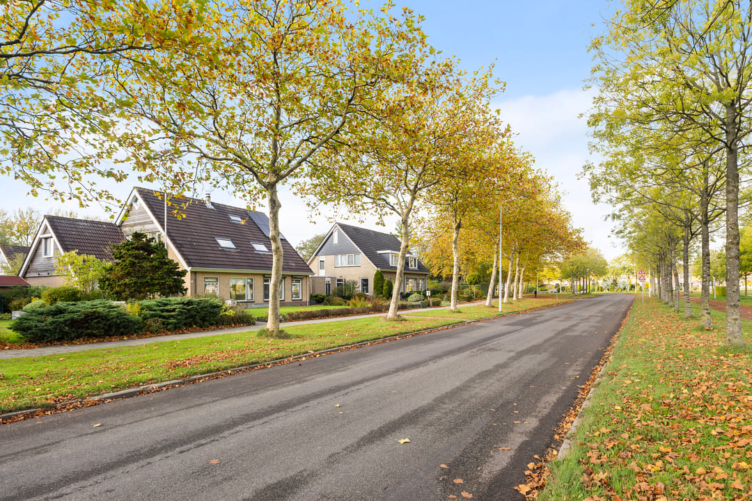 Photo 41 of Griene Leane 34