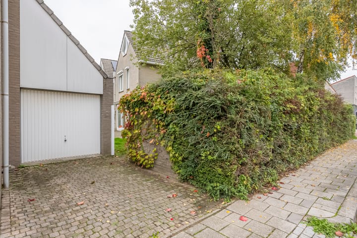 Photo 26 of Schepenenstraat 12