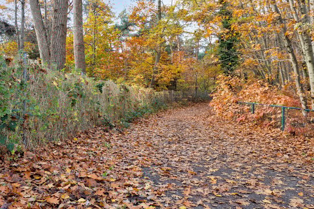 Foto 37 van Kesselseweg 31