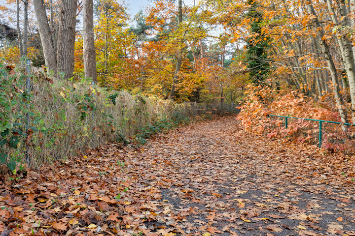 Foto 37 van Kesselseweg 31