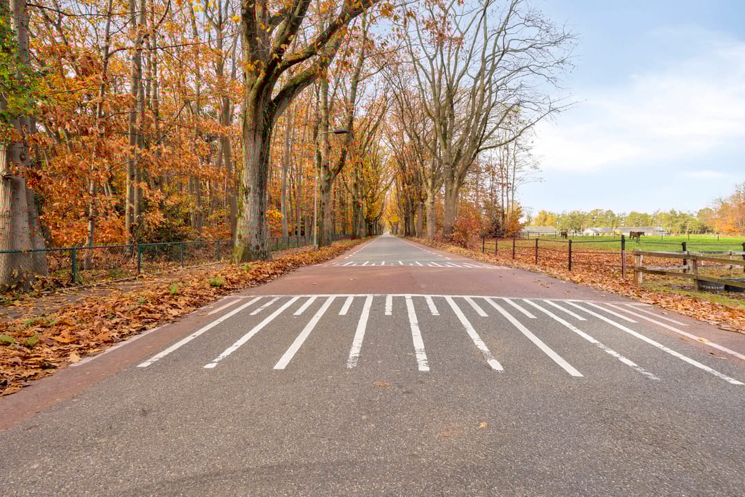 Foto 38 van Kesselseweg 31