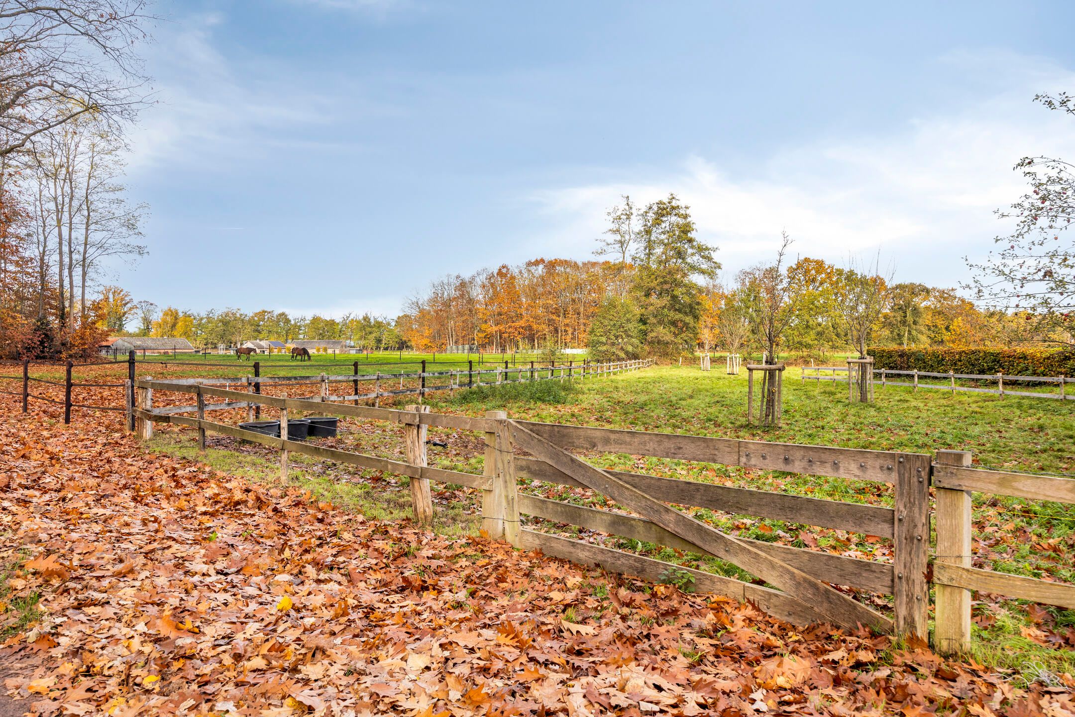 Foto 39 van Kesselseweg 31